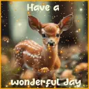 have a wonderful day