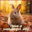 have a wonderful day