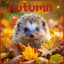 autumn hedgehog