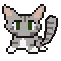 gray cat