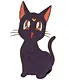 anime kitty