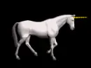3d unicorn walking 2