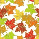 autumn leaves