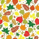 autumn leaves