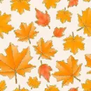 autumn leaves