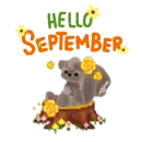 hello September 