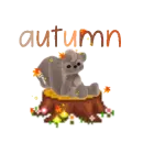 autumn skunk