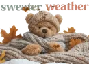 sweater weather bear