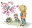 visiting birds