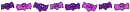 bats