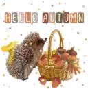 autumn headgehog
