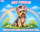 Stay Positive