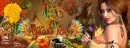 Native Rose-FB cover
