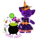 witch cat