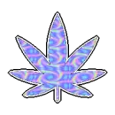 Weed