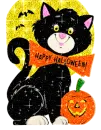 black cat