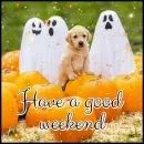 have a good weekend