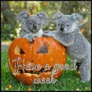 have a good week
