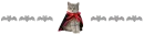 cat dracula
