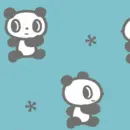 Panda Bears
