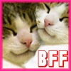 kittens bff