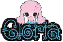 gloria cute puppy