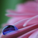 Tear