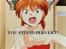 stuped pervert!