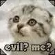 evel me?