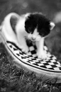 cute!!