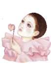 Pink colombina