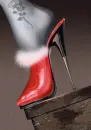 Sexy shoe