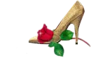 Shoe&rose