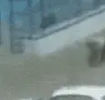 LOL