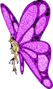 purple butterfly