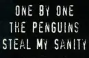 penguins