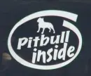 pitbull inside