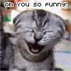 DA CAT DAT THINKS UR FUNNY!
