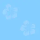 BabyBlue Flowers