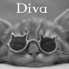 Diva Kitty!