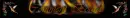 Comment Board Banner