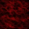 Design Background Red