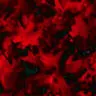 Design Background Red/Black