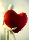 added  me in your heart