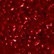 Design Background Red