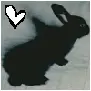 miss murder bunny