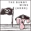 pirate bunny