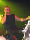 disturbed david dramen