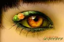 Eye of the Sorcerer