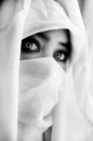 Arabian Nights